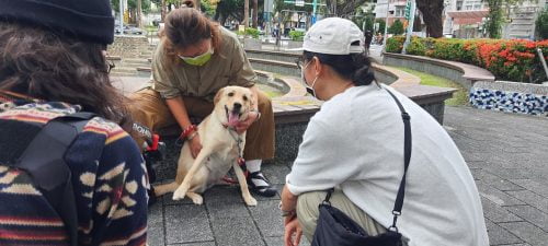 讓世界都看見-台灣好品牌-品牌人物誌-電視節目專訪-「導盲犬協會」側拍照片1製作單位：星澤影視 製作人：游祈盛 執行製作：楊含容