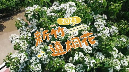 星澤影視傳播-讓世界都看見-台灣好品牌-品牌人物誌 「桐花祭」製作單位：星澤影視 製作人：游祈盛 執行製作：楊含容