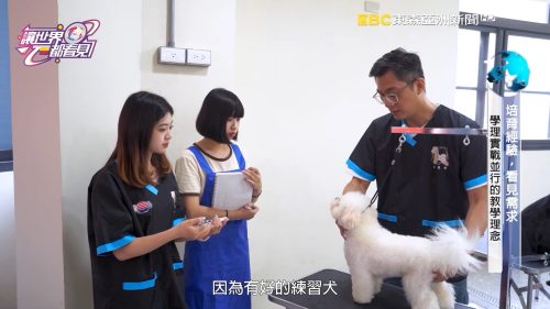 讓世界都看見-台灣好品牌-電視節目專訪-「山芙蓉寵物沙龍」 製作單位：星澤國際 製作人：游祈盛、楊含容