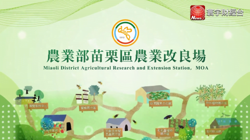 讓世界都看見-台灣好品牌-電視節目專訪-「農業部苗栗農改場」- 製作單位：星澤影視 製作人：游祈盛、楊含容